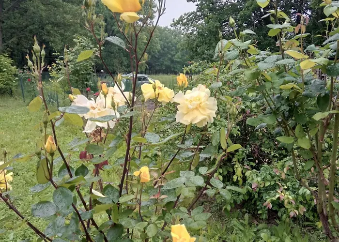 Landhaus сириус Sinemoretz