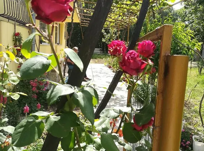 Landhaus сириус *