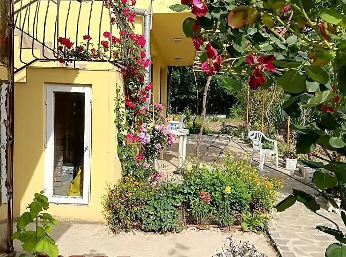 Casă la țară сириус Sinemoreț