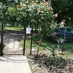 сириус سينيموريتس