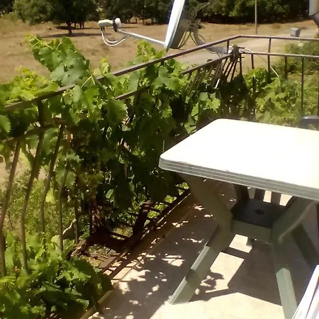 сириус Country house