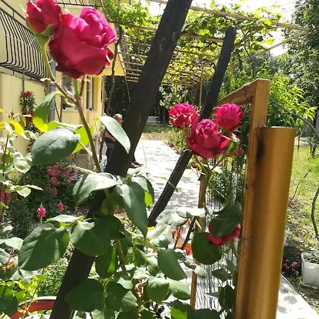 Casa rural сириус *