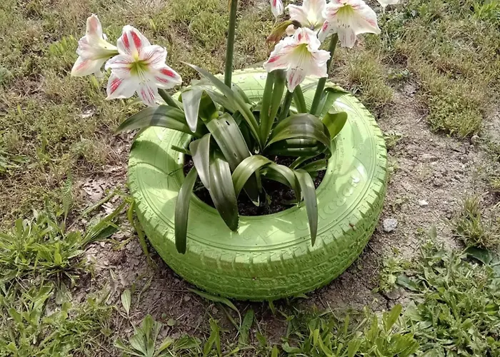 Venkovský dům сириус