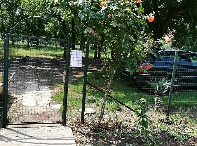 сириус Sinemorec