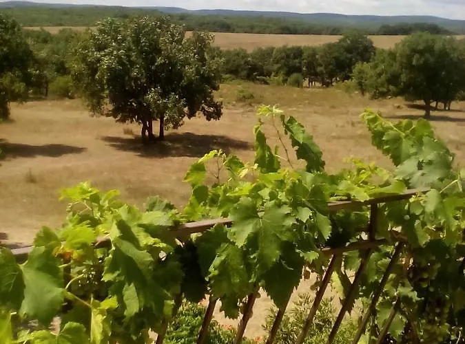 сириус * Sinemoretz