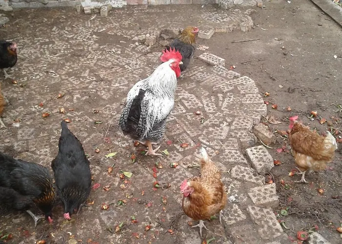 Venkovský dům сириус Sinemorec